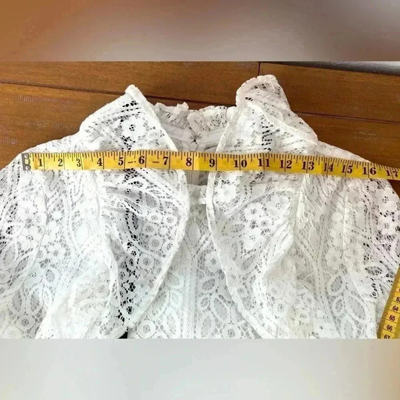 Amaryllis Lace High Neck Blouse Ruffles Long Sleeve New Romantic Sheer - Picture 15 of 15